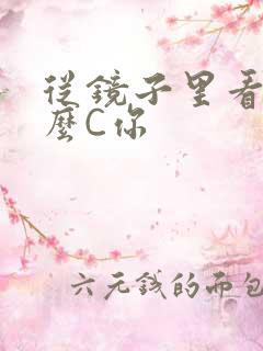 从镜子里看我怎么C你