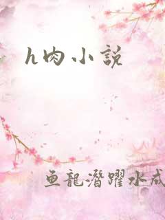 h肉小说