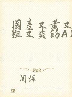 国产又黄又猛又粗又爽的A片小说