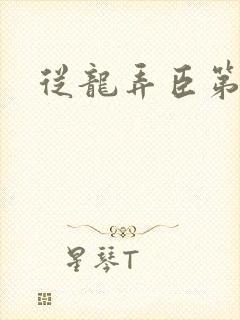 从龙弄臣第一次