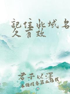 记住此域名记永久有效