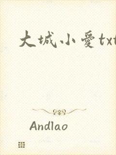 大城小爱txt