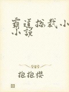 霸道总裁小娇妻小说