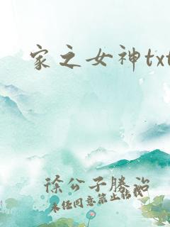 家之女神txt