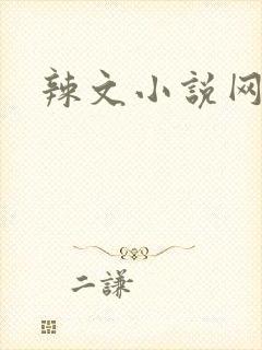 辣文小说网