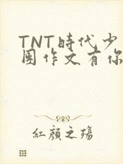 TNT时代少年团作文有你真好