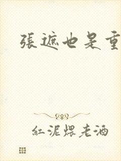 张遮也是重生吗