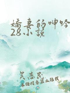 娇妻的呻吟1—28小说