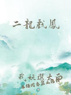 二龙戏凤