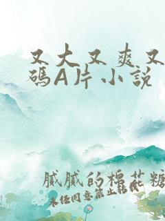 又大又爽又黄无码A片小说