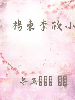 杨东李欣小说