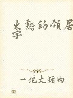 火热的领居中文字