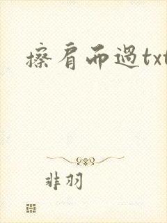 擦肩而过txt