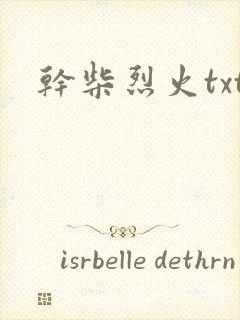 干柴烈火txt