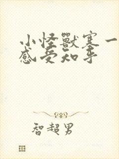 小怪兽塞一天的感受知乎