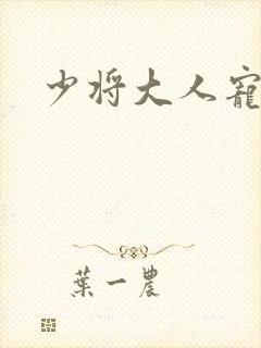 少将大人宠宠我