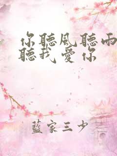 你听风听雨却不听我爱你