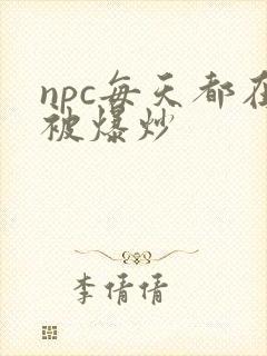 npc每天都在被爆炒