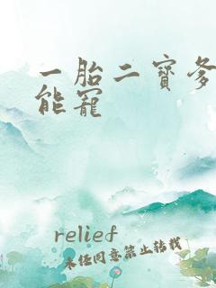 一胎二宝爹地超能宠