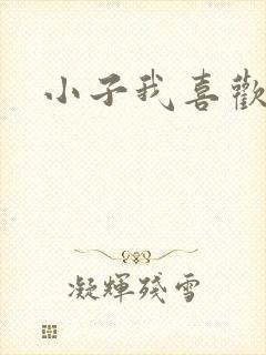 小子我喜欢你