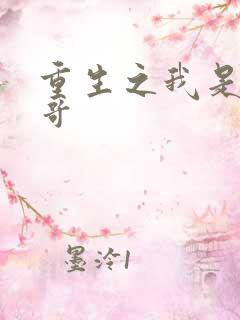 重生之我是大帅哥