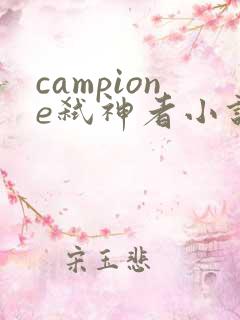 campione弑神者小说