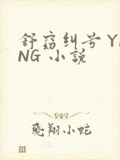 舒窈纠兮 YING 小说