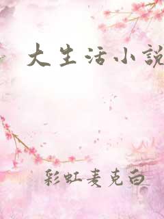 大生活小说