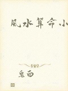 风水算命小说