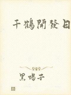 千鹤开发日记