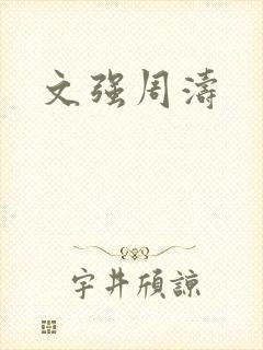 文强周涛