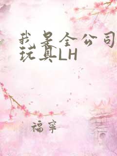 我是全公司发泄玩具LH