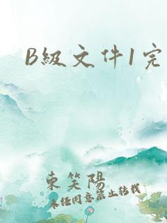 B级文件1完整
