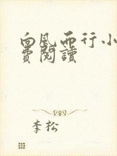 向风而行小说免费阅读