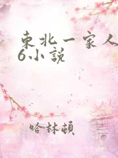 东北一家人1一6小说