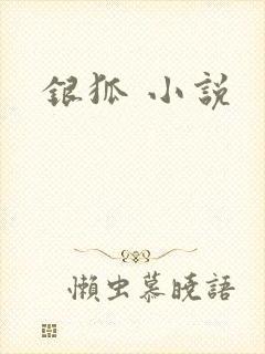 银狐 小说
