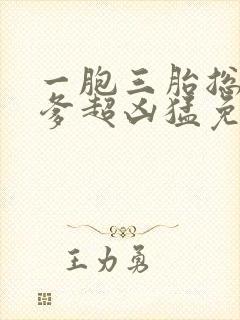 一胞三胎总裁爹爹超凶猛免费阅读