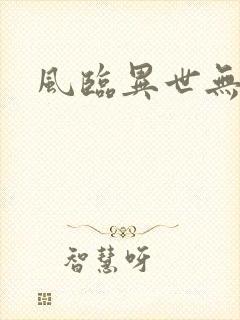风临异世无弹窗