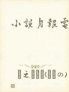 小说月报电子版