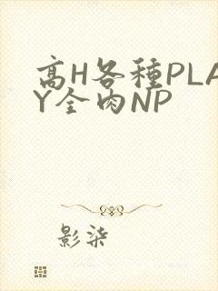 高H各种PLAY全肉NP