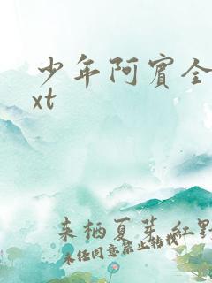 少年阿宾全集txt