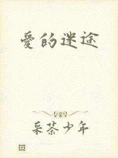 爱的迷途
