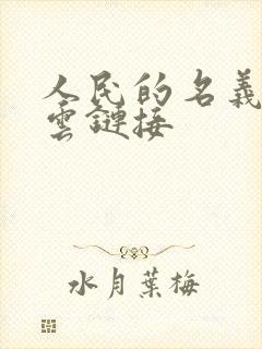 人民的名义百度云链接
