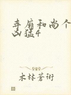 寺庙和尚个个很凶猛4