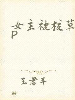 女主被校草们NP