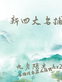 新四大名捕全集