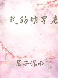 我的明星老豆