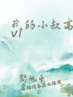 我的小叔高H1V1