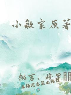 小敏家原著小说