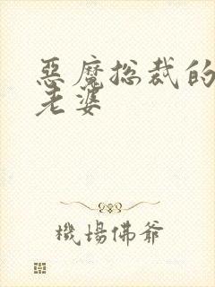 恶魔总裁的宝贝老婆